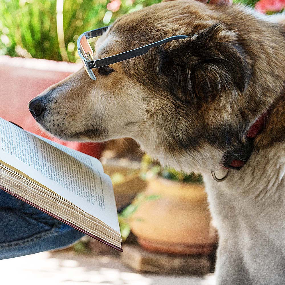 Termine, Seminare, Vorträge Termine, Seminare, Vorträge